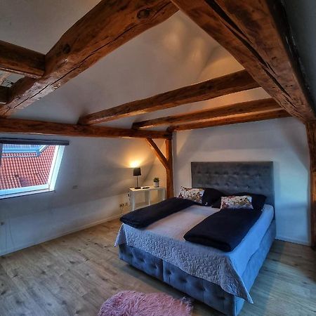 Langenzenn - Ikon Immoleasing Daire Dış mekan fotoğraf