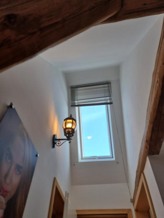 Langenzenn - Ikon Immoleasing Daire Dış mekan fotoğraf